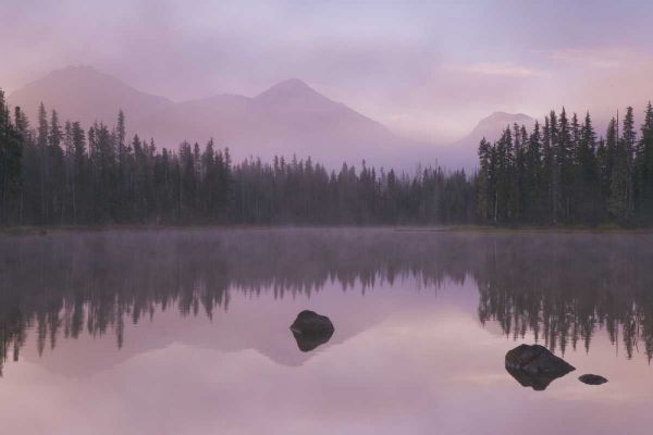 OR, Willamette NF Foggy sunrise on Scott Lake